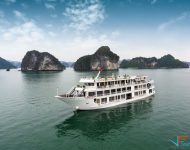 alisa cruise halong bay