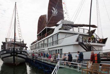 pelican cruises halong bay tour